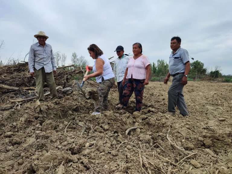 Piden mayor inversión en innovación de la agricultura peruana