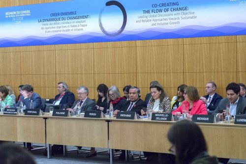 Canciller remarcó en OCDE importancia de proponer acciones resolutivas