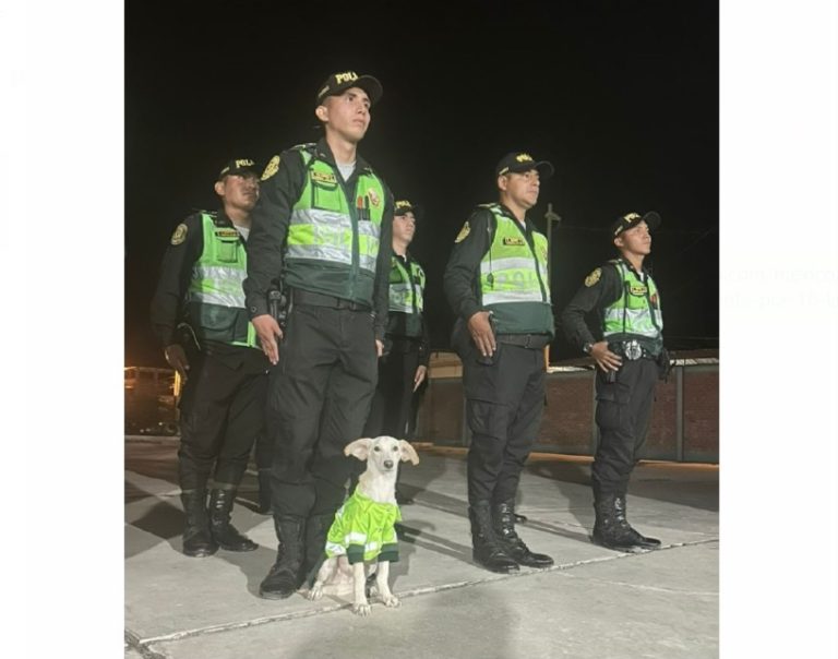 Piura: Conoce a Sultán, la nueva mascota de la comisaría de Catacaos rescatada de la calle